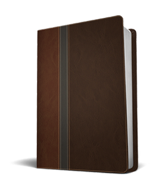 Photo of the NLT LeatherLike, Twilight Blue/Slate, TuTone Bible - ISBN: 978-1-4964-1666-7